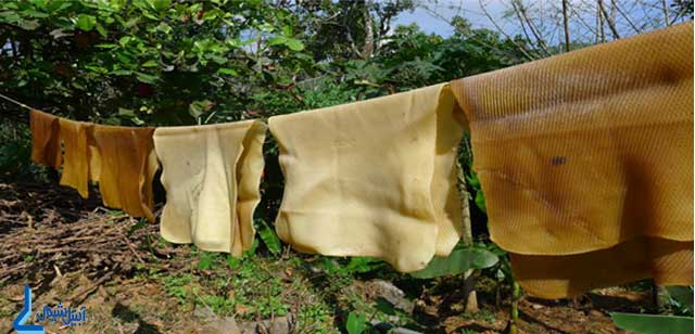 natural rubbers 1
