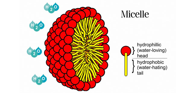 شمای کلی از تشکیل مایسل schematic of micelle formation