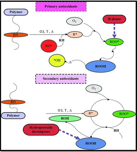 مکانیزم آنتی اکسیدانها the mechanism of antioxidants activity